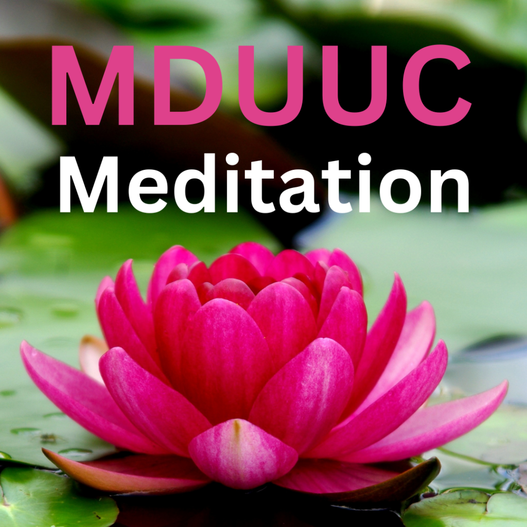 meditation website (1)